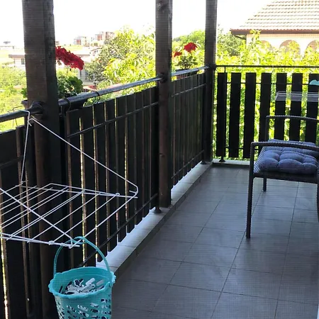 стела Willa Sinemorec