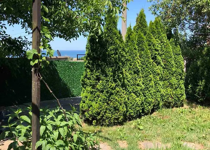 стела Sinemoretz